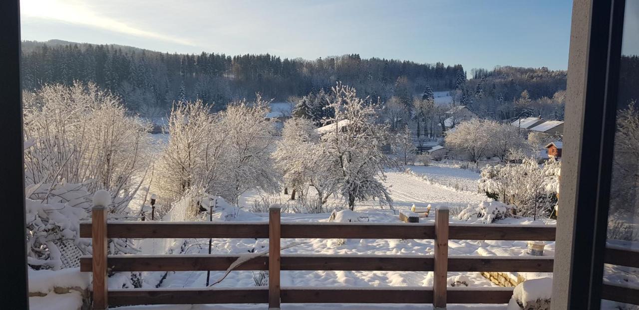 Le Jura En Toutes Saisons Piscine, Spa, Location Vtt, Balades 2Cv, Climatisation Bonlieu Εξωτερικό φωτογραφία